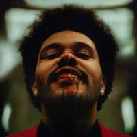 Hardest To Love Lyrics - The Weeknd