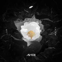 Without You Lyrics - Avicii Ft. Sandro Cavazza
