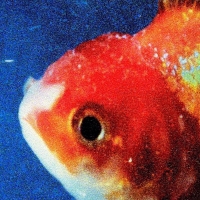 Big Fish Lyrics - Vince Staples Ft. Juicy J