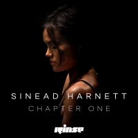 Ally Lyrics - Sinead Harnett