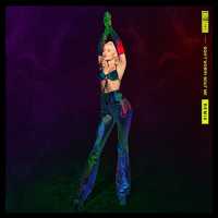 Don't Worry Bout Me Lyrics - Zara Larsson