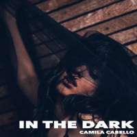 In the Dark Lyrics - Camila Cabello