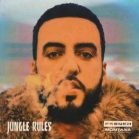 Too Much Lyrics - French Montana