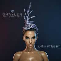 Just a Little Bit Lyrics - Shaylen Ft. Cory Enemy