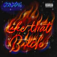 Like That Bitch Lyrics - Flo Milli