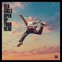Do You Really Wanna Know? Lyrics - Sea Girls