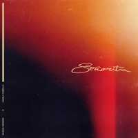 Señorita Lyrics - Camila Cabello, Shawn Mendes