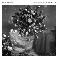 Too Good At Goodbyes Lyrics - Sam Smith