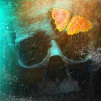 Without Me Lyrics - Halsey