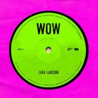 WOW Lyrics - Zara Larsson
